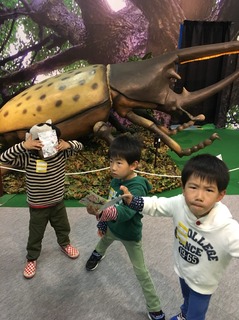 1522208627167.jpg