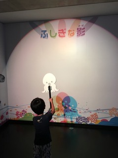 1536711805843.jpg