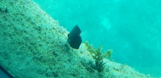 1565015309571.jpg