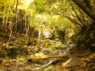 DSC_1789.JPG