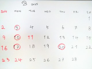 DSC_3506.JPG