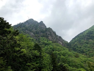 IMG_1394.jpg