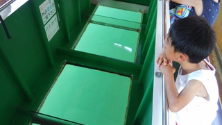 KIMG5108.JPG